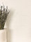 Newroom Tapete Creme Vliestapete Linien - Mustertapete Boho Hellbeige Bogen Boho Tapete Modern Ethno-Muster Grafisch inkl. Tapezier-Ratgeber