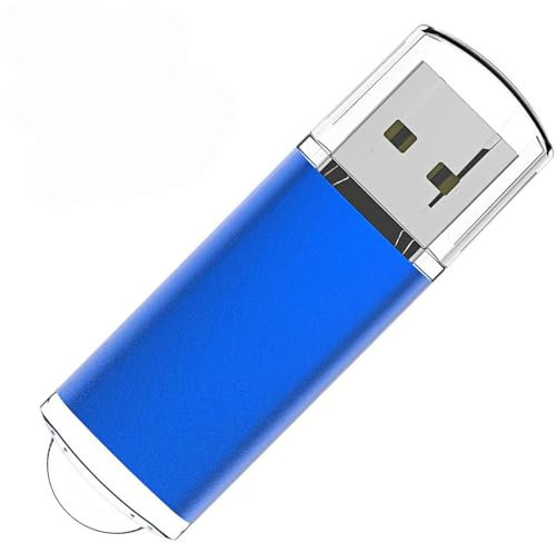 WISEORANGE Chiavetta USB 64GB 1 Pezzi Pen Drive 64 GB Metallo USB 2.0 Unità Memoria Flash per l'archiviazione e il backup dei dati