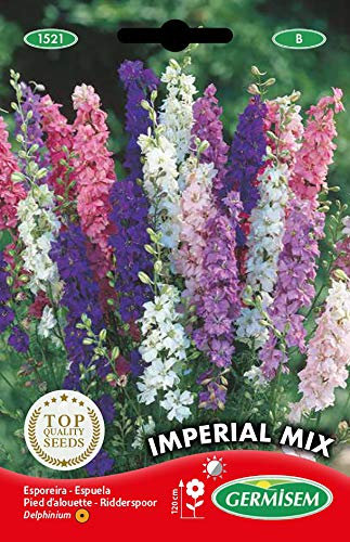 Germisem Sommer-Rittersporn EC1521 mehrfarbig