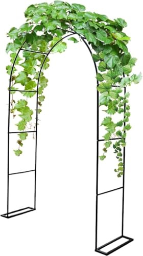 Trädgårdsbåge i metall rosbåge, bröllopsbåge, trädgårdspergola utomhus, spaljévalv for klätterväxter, 200 cm hög x 80 bred upp till 220 350(Black,L80xW40xH200cm)
