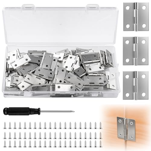Nadisean 80 Pezzi Mini Cerniera, 25 x 25 Cerniere Acciaio Inox, Cerniere per Legno con 320 Viti e 1 Cacciavite, Cerniera per Porte Pieghevoli Per l'artigianato, Piccoli Portagioie, Case di Bambole