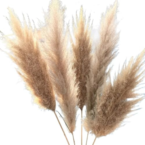 Pampas Secas Decoracion Arreglos Florales Grandes de Hierba la Pampa Ramo Boda Ural Esponjoso Ceremonia Flores secas Altas Decoración jardín casa Moderna(5pcs)