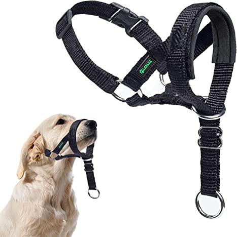 ILEPARK Hundehalfter mit Sicherheitsgurt, Kopfgeschirr für Hunde, um das Ziehen zu stoppen, verstellbar und leicht zu kontrollieren (L, Schwarz)