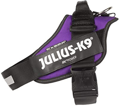 JULIUS-K9 IDC Powerharness, Size: L/1, Dark Purple