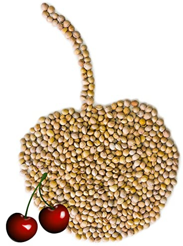 Noccioli di ciliegia Imbottiture per cuscini naturali cervicale, mal schiena 1-30 kg Selezione Petigi, Peso:20 kg