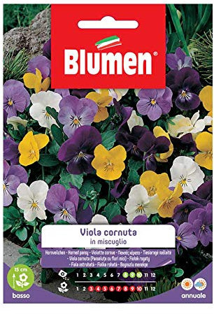 SEMI VIOLA CORNUTA MIX BLUMEN