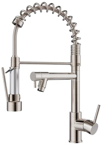 FORIOUS Robinet Cuisine, Mitigeur Cuisine, à Deux Poignées, Pivotant à 360°et Double Pulvérisation, Acier Inoxydable