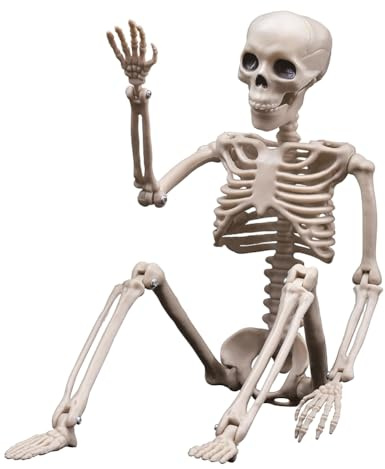 Deger 1 Stück Halloween Skelett Dekorationen Kunststoff bewegliches Skelett Ganzkörper mit beweglichen Gelenken