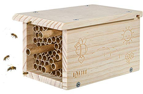 Rivajam Build a Bee House DIY Woodworking Project | Solitary Mason Bee House Nesting Box Wood Building Kit & Tools | Garden Arts & Crafts Activities for Toddler Boys & Girls Kids Teens Adults & Family