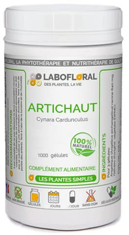 Artichaut Labofloral 1000 gélules dosées à 260 mg - Complément alimentaire - Détox du foie, digestion, confort intestinal, élimination des graisses stockées - Fabriqué en France