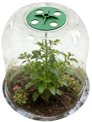 Generisch Copertura protettiva per piante per l'inverno, protezione trasparente per piante, protezione dal per fioriere, per serra, balcone, giardino d'inverno, terrazza