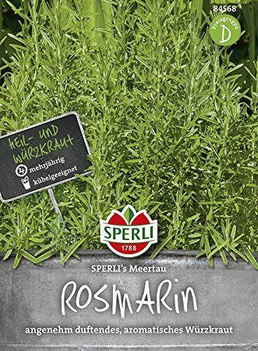Sperli 84568 Rosmarin Meertau (Rosmarinsamen)