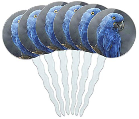 Hyacinth Macaw Parrot Cupcake Picks Toppers Decoration Set of 6