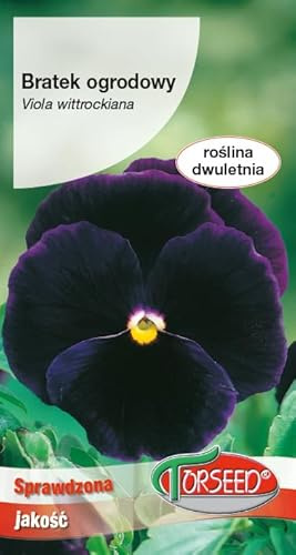 Verdica Riesige Blüten Stiefmütterchen Samen, Viola wittrockiana – große Blüten, vielseitig, ideal für Beete & Balkone, einfache Sommerpflanzung (0.5 Gramm)