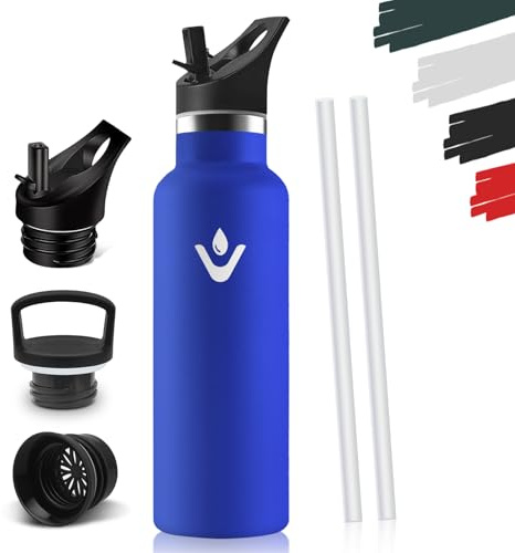 Drinking Bottle 750 ml, BPA-Free, Stainless Steel, Leak-Proof Insulated Flask, Double-Walled, Water Bottle with Straw, 18/8 Stainless Steel, Thermal Flask Suitable for Carbonated Drinks, Royal Blue
