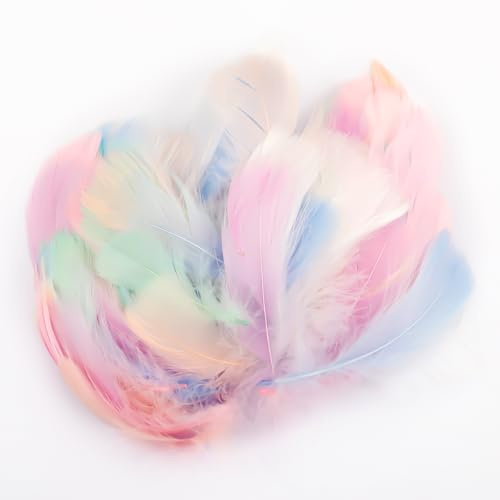 Hopzab 300 Pcs Colorful Feathers Natural Goose Feathers 6-12cm Feather Bulk for DIY Crafts Dream Catchers Gift Box Filling Earrings Headdress Feather Flowers Wedding Party Holiday Decoration