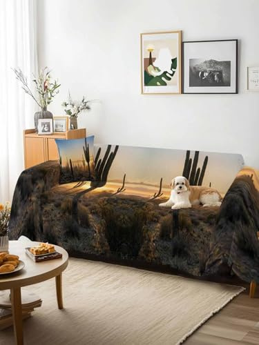 Western Cactus Sunrise Sofa Cover Blanket Couch Covers for Armchair Cushion,Couch Sofa Silpcover with Tassel,Modern Abstract Art Retro Living Room Bedroom Throw Towel Blanket Covers XX-L 71x150