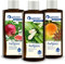 Spitzner Saunaaufguss Set Gute Laune (3 x 190ml)