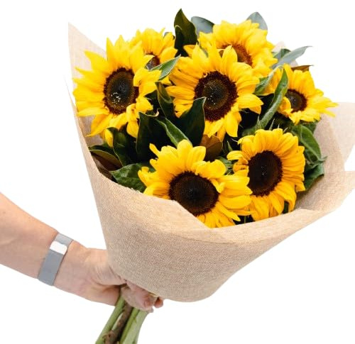 Ramo de Girasoles Natural con 10 Flores de Color Llamativo y Elegante