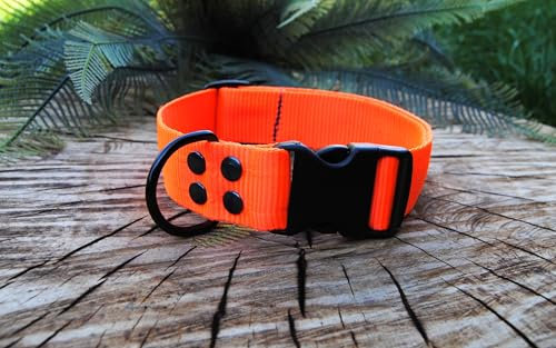 Halsband 4cm breit Gr.L ORANGE (OL)