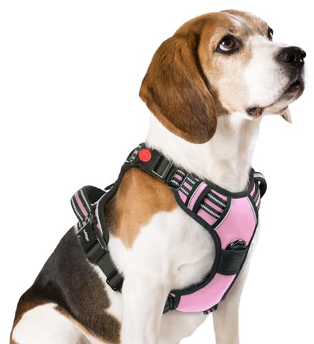 rabbitgoo Harnais Chien avec 3 Boucles, Facile à Mettre et à Enlever, Harnais Anti Traction pour Chien avec Poignée et Attache Devant, Réglable, Réfléchissant, Arnet pour Chiens Moyen, Rose, M