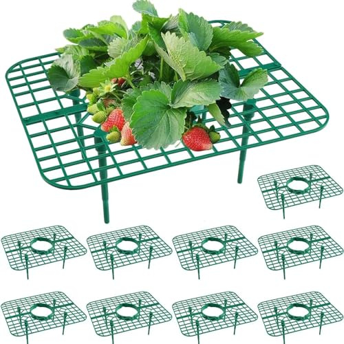 Soporte de cultivo de fresas, soporte de protección para fresas, soporte de cultivo de plantas de fresa, paquete de 10 unidades