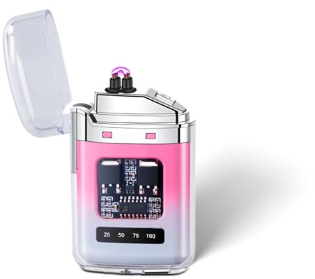 EleBikk Briquet électronique, Briquet Rechargeable Type-C, Bri-Quet à Arc électrique Double, Affichage de Puissance LED, Plasma à Double Arc Coupe-Vent, Compact et Facile à Transporter