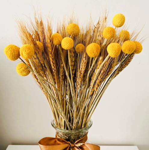 100pcs Dried Wheat Bunch Stalks & 15pcs Dried Yellow Billy Buttons Craspedia Flower Balls, Artificial Flowers Bouquet Grass Flora For Home Decor, Autumn Decor, Wreath Making, Cake Decorations Flowers