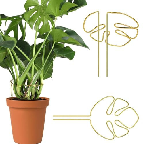 Srvauyea Lot de 2 Tuteurs pour Plantes Grimpantes Monstera, Support de Plantes Grimpantes, Support de Tige Polyvalent, Supports de Plantes avec Design Unique de Feuille pour Plantes D'intérieur