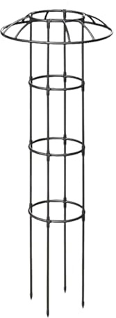 Traliccio per piante da esterno, supporto verticale antiruggine stabile per piante rampicanti, per piante rampicanti, rose, clematidi, verdure, cetrioli, ortensie, pothos
