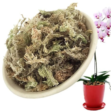 Sphagnum Moos für Pflanzen Orchideen Terrarium Blumenerde Zimmerpflanzen Feuchtigkeitsspendende Ernährung Organisches Torfmoos Organischer Dünger für Phalaenopsis 120g