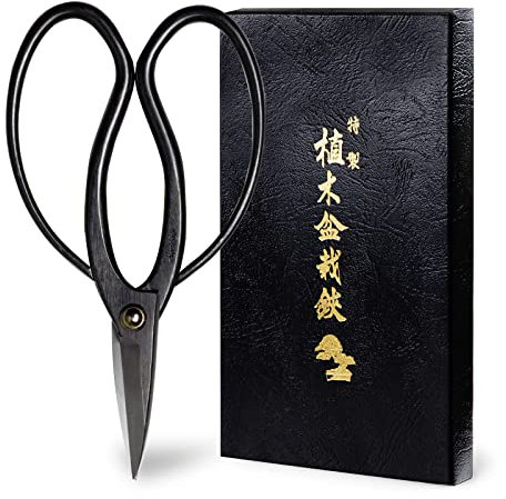 Wazakura Ciseaux Japonais Traditionnels pour Bonsaï et Jardinage 180mm - Outil Sécateur de Précision Artisanale pour Élagage Fabriqué au Japon Couleur Noir