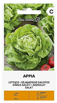 Zalia stotele | LAITUE APPIA des Graines | Graines de Légumes | Graines de Plantes | Graines de Jardin | 1 Paquet