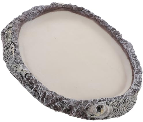 Totority Cuenco de Agua Diseño Creativo y Duradero Práctico y Multiuso para Reptiles de Resina Adecuado para Serpientes y Lagartos en Terrarios