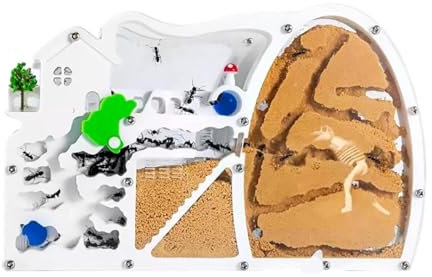 Myrfarm Formicarium Sand Myra Farm Slott Myra Habitat Med Dinosaurier Som Gräver För Att Studera Myrkoloniens Ekosystembeteende Utbildning Myrbo(Oranje)
