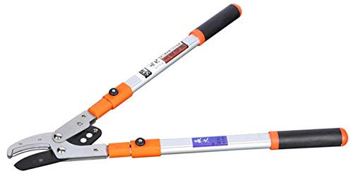 RONGJJ Astschere, Gartengriffe Langgriff SK5 Hochleistungs-Amboss-Astschere, Zum Trimmen Von Rändern, Dekoratives Gartenwerkzeug In Grasqualität