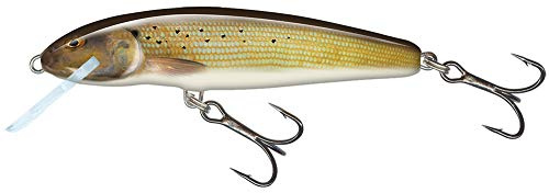 Salmo Minnow Wobbler, Colori: Grayling, Lunghezza/Peso/Corsa/profondità di Immersione: 7 cm/6 g/Galleggiante/1,0 – 1,5 m