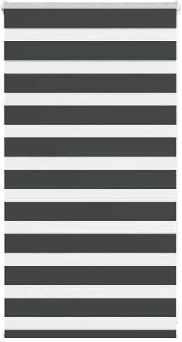 vidaXL Zebrarollo Schwarz 70x100 cm Stoffbreite 65,9 cm Polyester, Zebra-Rollo, Doppelrollo, Zebra-Jalousie für Fenster, Doppelrollo, Zebra-Rollo
