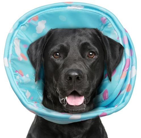 Hjumarayan Halskrause Hund Weich - Hundekragen Leckschutz, Schutzkragen Hund Wasserdicht Kragen nach OP, Leicht Trichter Verhinderung von Wunden Leckt oder Kratzt (Blau L)