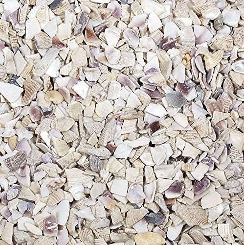 naninoa MUSCHELGRANULAT 2-5mm. Muschelsand, Muscheln, Muschelbruch, Natudeko 1kg. Natur