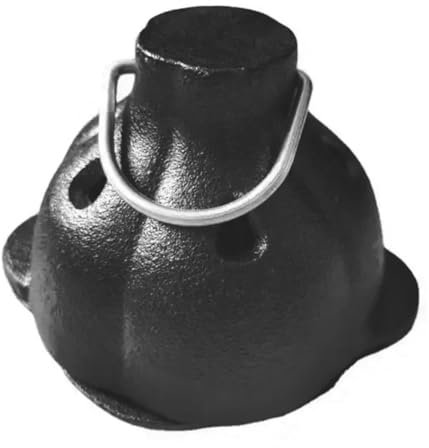 dissot Asador de ajo de hierro fundido para ahumadero, caja de ahumado, asador de ajo de hierro fundido prefabricado para parrilla