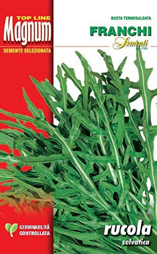 BUSTA MAGNUM SEMI DI RUCOLA SELVATICA ORTO GIARDINO SEMI