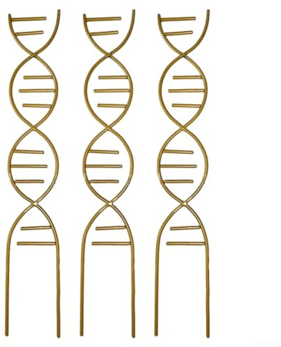 Cadre d'escalade avec design unique en spirale ADN, fabriqué en fer durable pour l'intérieur. Pour plantes en pot comme le lierre et les pothos pour favoriser une croissance structurée (doré)