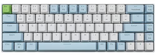 Qisan Mechanical Wireless Gaming Keyboard - 60% Mini Design, 68 Keys, US Layout | Bluetooth | Brown Switches - Blue and White