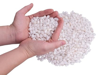 LONGTEAM Pierres décoratives, galets polis naturels, gravier intérieur et extérieur pour pot de fleurs, aquarium, aménagement paysager, remplissage de vase (0,9 kg, blanc)