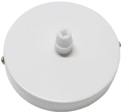 AstrizLamp White 1 Way Ceiling Rose 15cm Round 1 Hole Canopy Iron Finish Powder Chassis Multi Outle Pendant Light Fitting Plate Canopy Kit for Ceiling Lights, Hanging Fixture All Lamps