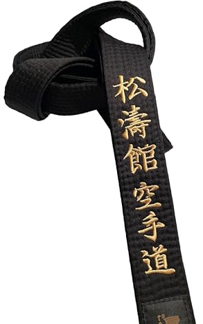TEKKA BUDO Ceinture de karaté noire - Brodée - Karaté Shotokan - 330 cm - Broderie de caractères en or - Ceinture noire Kanji japonais - Ceinture noire
