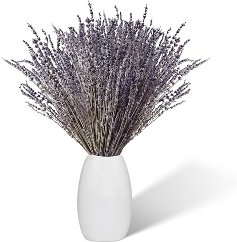 Torkad lavendel 100 stjälkar, 43 cm lång naturlig torkad lavendel Torkad blomdekoration, Boho-dekoration
