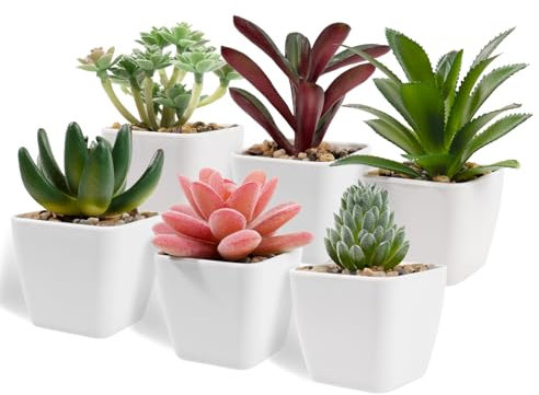 Woltoy 6 Pcs Fake Plants Desk Plant Small Artificial Plants Indoor Succulent Desk Bathroom Decorations Decorative Artificial Flora Plastic House Faux for Indoors