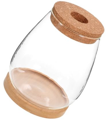 TOYANDONA Terrarium Verre avec Couvercle pour Micro-Paysage Bouteille Transparente pour Plantes Mousse Contenant Décoratif pour Intérieur
